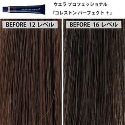 ファッションカラー剤「ナチュラルブラウン」の発色比較＜前編＞1