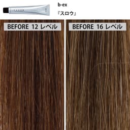 ファッションカラー剤「ナチュラルブラウン」の発色比較＜前編＞5