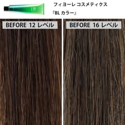 ファッションカラー剤「ナチュラルブラウン」の発色比較＜前編＞6