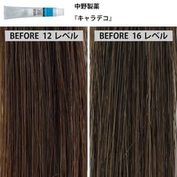 ファッションカラー剤「ナチュラルブラウン」の発色比較＜後編＞5