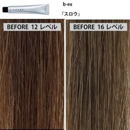 ファッションカラー剤「ナチュラルブラウン」の発色比較＜後編＞7