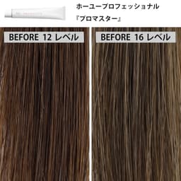 ファッションカラー剤「ナチュラルブラウン」の発色比較＜後編＞8