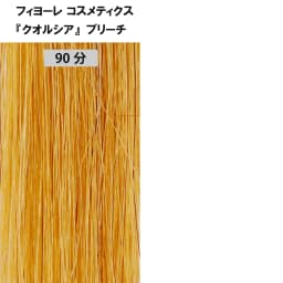 ブリーチ剤 16アイテム徹底検証　＜第2回　リフト力＞60