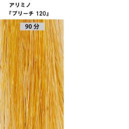 ブリーチ剤 16アイテム徹底検証　＜第2回　リフト力＞5