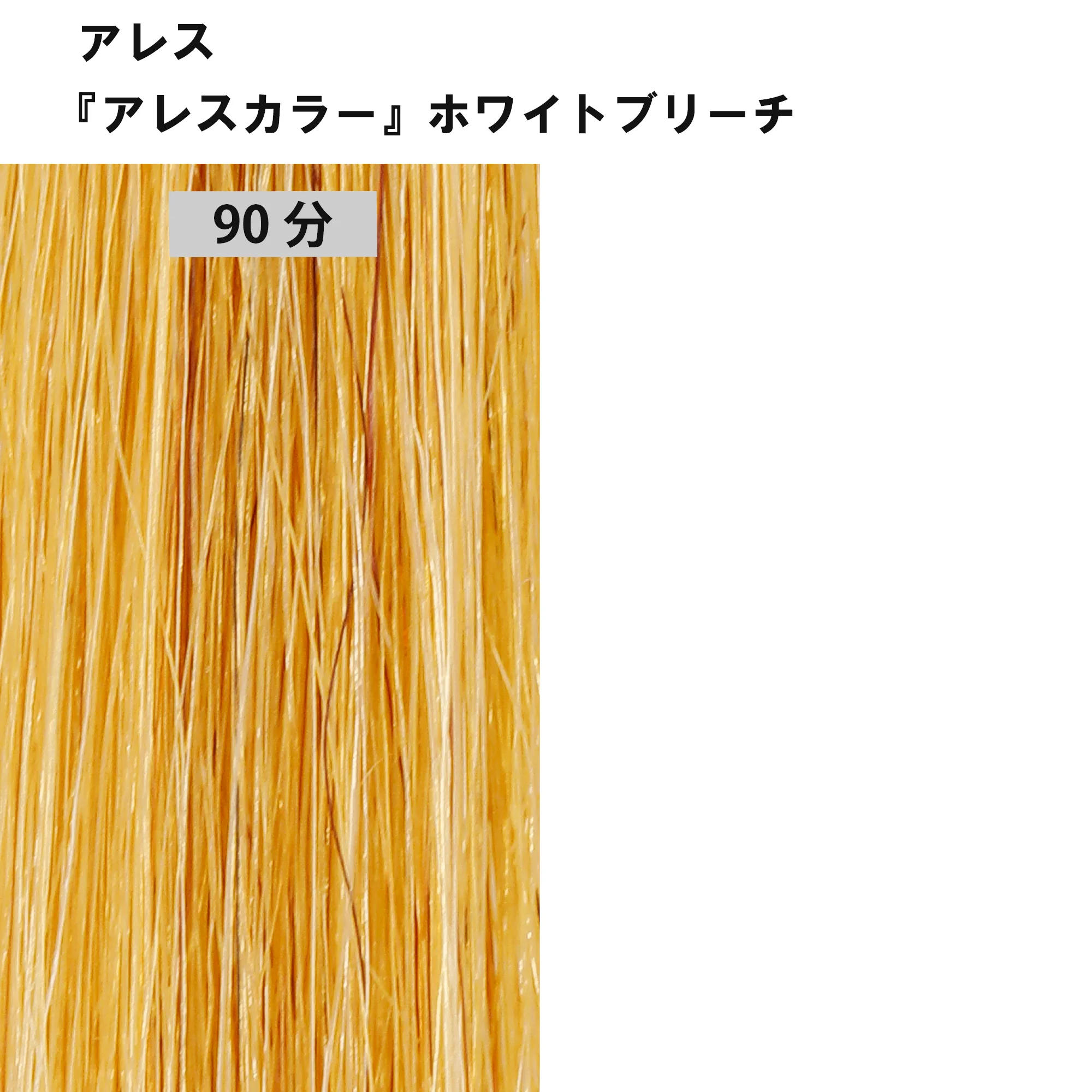 ブリーチ剤 16アイテム徹底検証　＜第2回　リフト力＞10