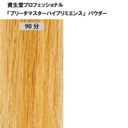 ブリーチ剤 16アイテム徹底検証　＜第2回　リフト力＞25