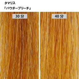 ブリーチ剤 16アイテム徹底検証　＜第2回　リフト力＞38