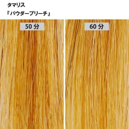 ブリーチ剤 16アイテム徹底検証　＜第2回　リフト力＞39