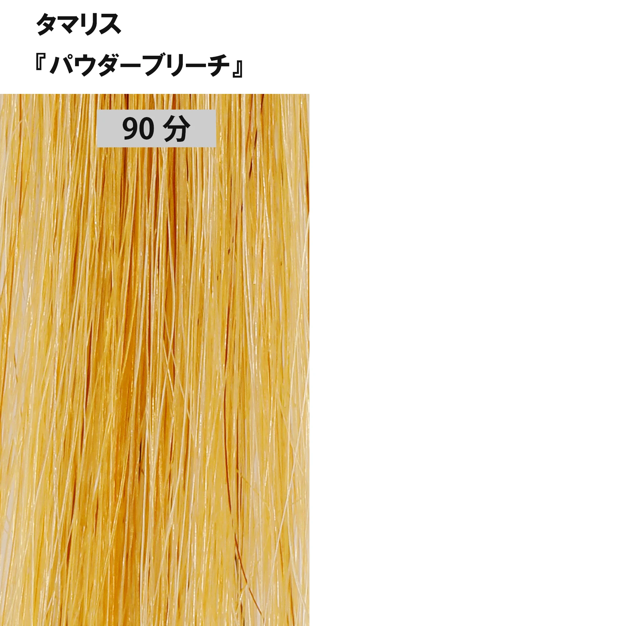 ブリーチ剤 16アイテム徹底検証　＜第2回　リフト力＞40