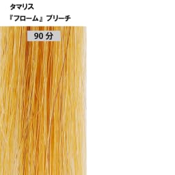ブリーチ剤 16アイテム徹底検証　＜第2回　リフト力＞45