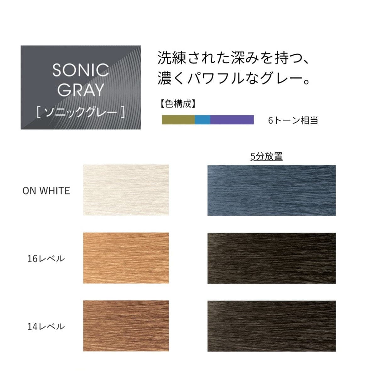 イロジカケ S GY(ソニックグレー)(ファッションカラー) 80g【医薬部外品】 2