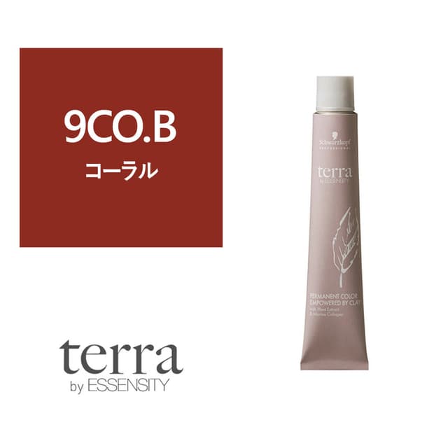 テラ by エッセンシティ 9CO.B《グレイカラー》85g【医薬部外品】 1