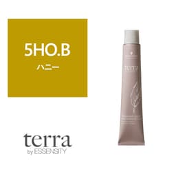 テラ by エッセンシティ 5HO.B《グレイカラー》85g【医薬部外品】 1