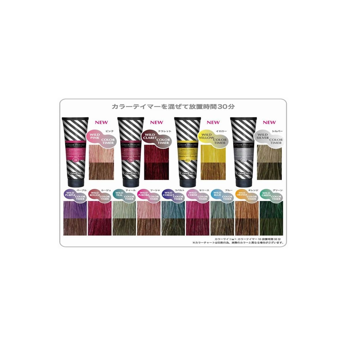 osmo ColorPsycho (カラーサイコ) カラーテイマー 250ml ≪薄め液≫ 2