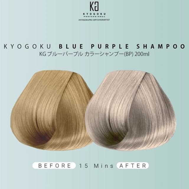 KYOGOKU カラーシャンプーBP(ブルーパープル) 200ml 2