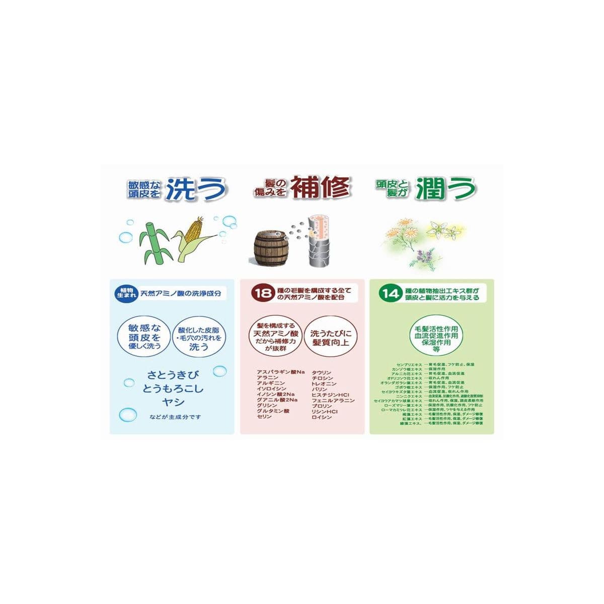 グリーンノート 自然葉シャンプー(無香料)300ml×3本 5