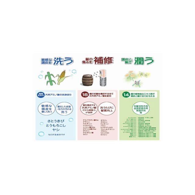 グリーンノート 自然葉シャンプー（無香料）300ml×3本 5