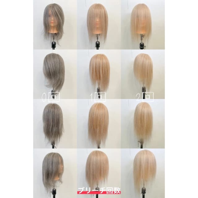 カッティングウィッグ グレイ60【トレーニング用/人毛100％】 6