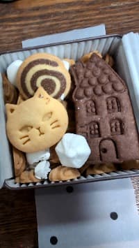 KSCのプロフィール画像