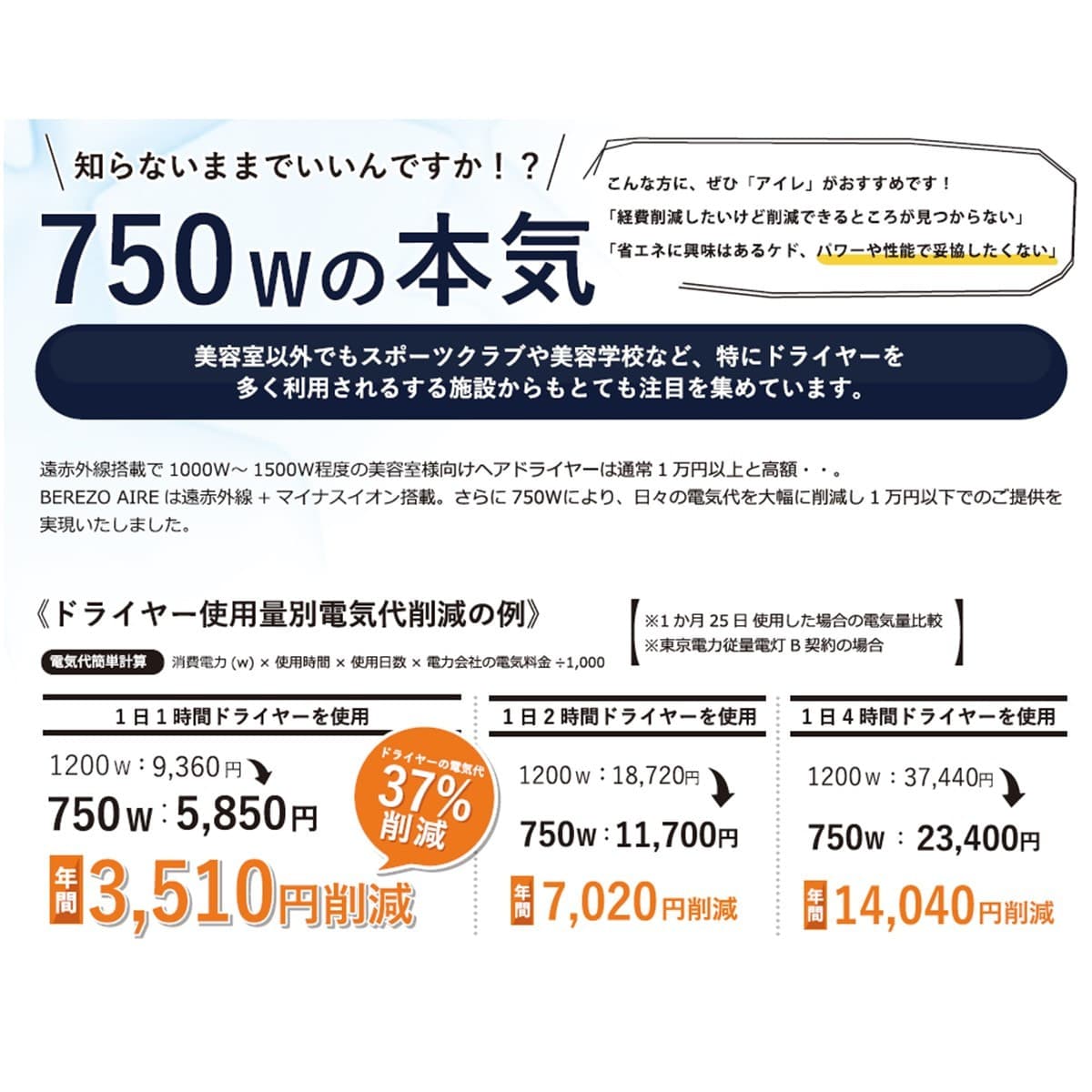 ベレッゾアイレ ヘアドライヤーD-1300（750W） 7