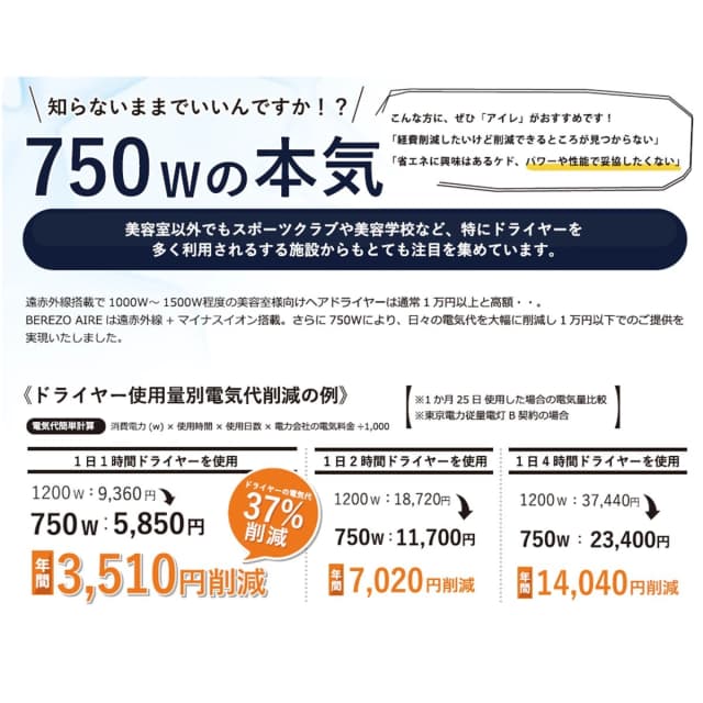 ベレッゾアイレ ヘアドライヤーD-1300（750W） 7