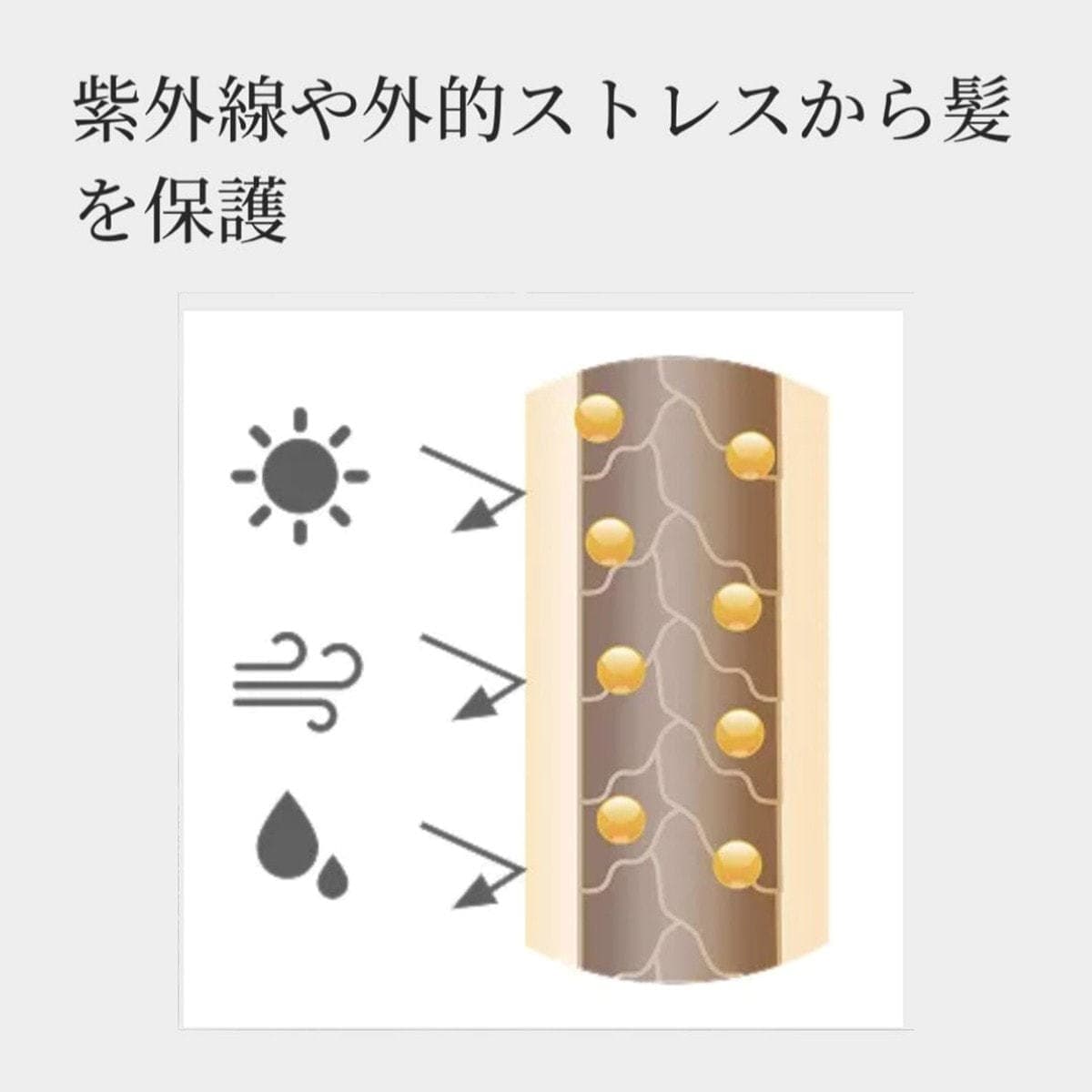 protego プロテゴ オイル100g 8