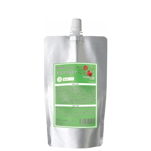 輝髪 ザクロペインターB ソフト 200ml 1