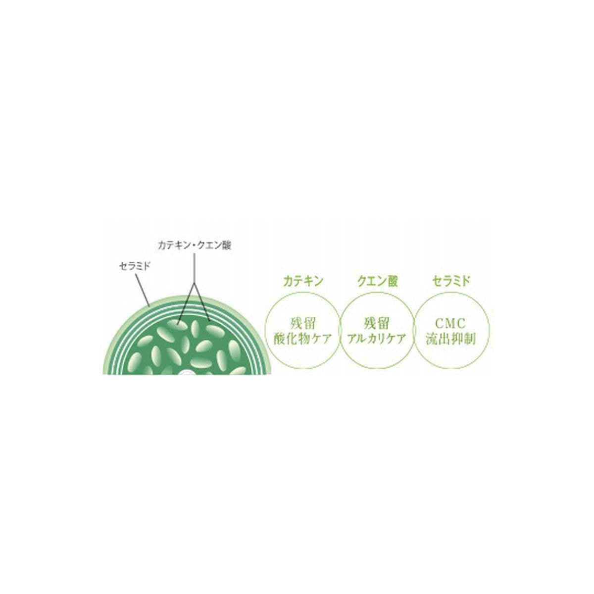 シェルパ バッファーオイル 800ml詰め替え 2
