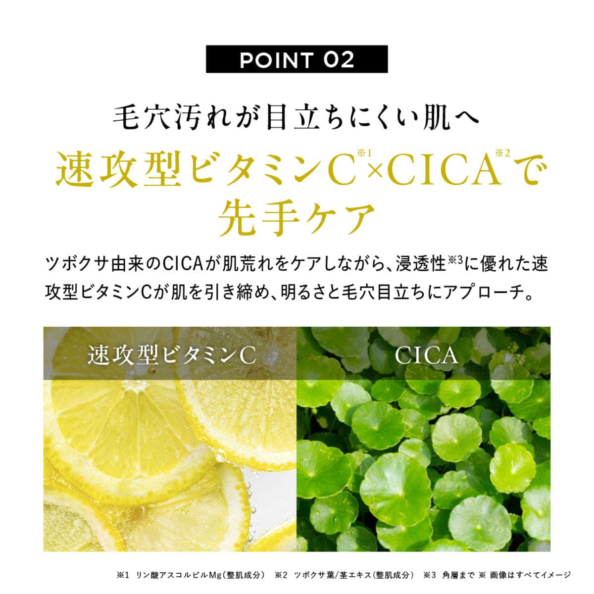 ディズム クリーミーフォームウォッシュ ブラック 120g 5