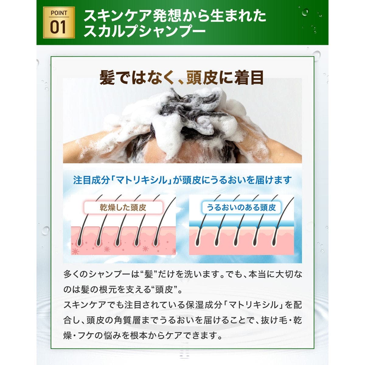 マトリキシル スキャルプシャンプー 300ml 2