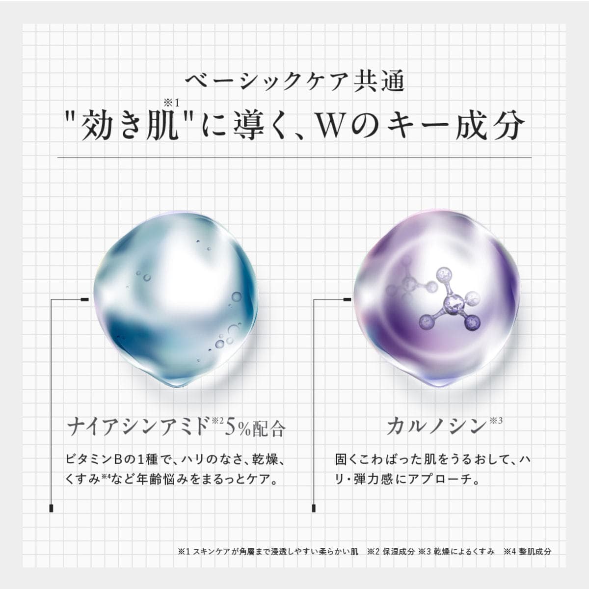 ディズム クリーミーフォームウォッシュ ブラック 120g 6