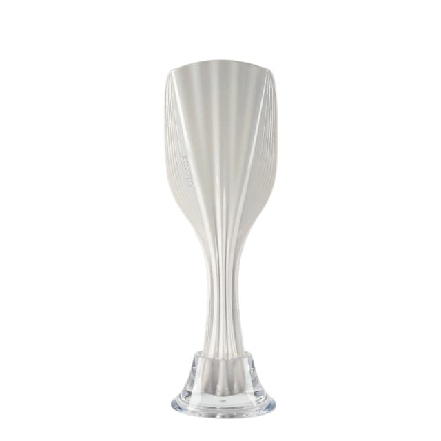 KINUJO Silky treatment brush （シルキー トリートメントブラシ）ミラーホワイト 2