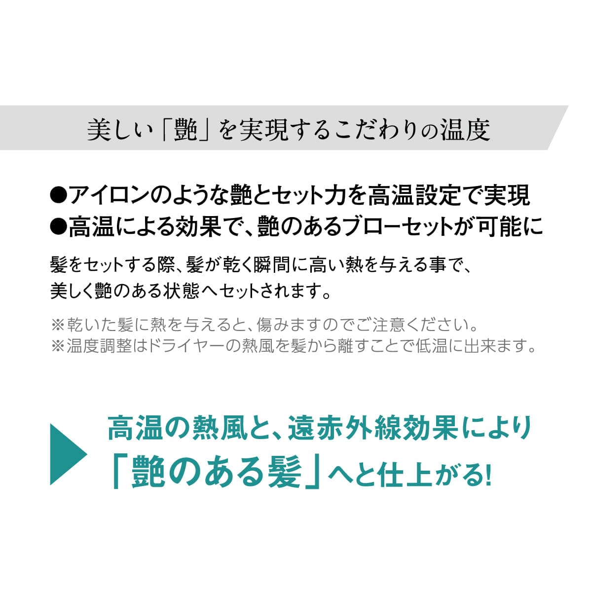 N.B.A.A. プロセラドライヤー NB-DS01(1200W) 8