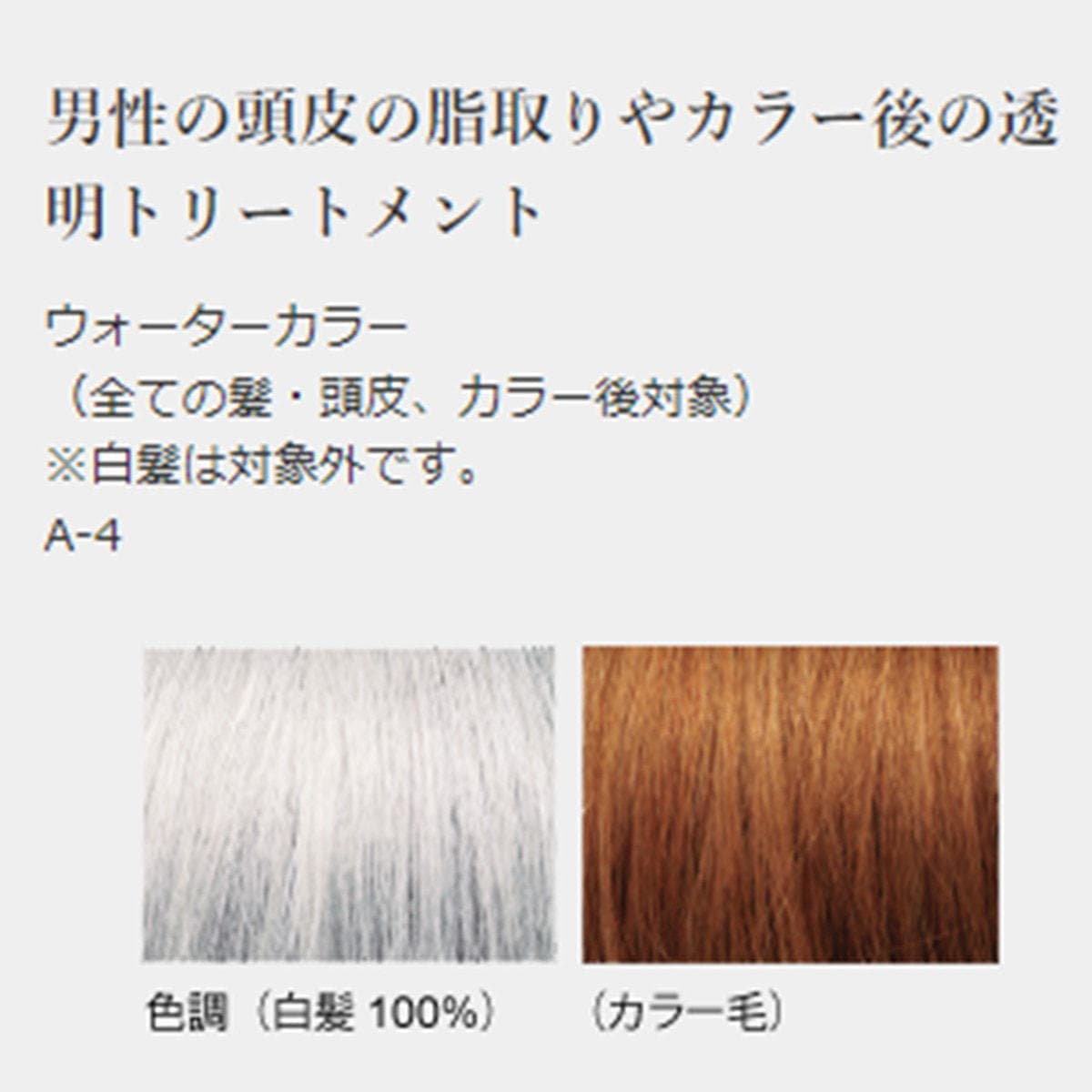 ジャパンヘナ ウォーターカラー100g 2