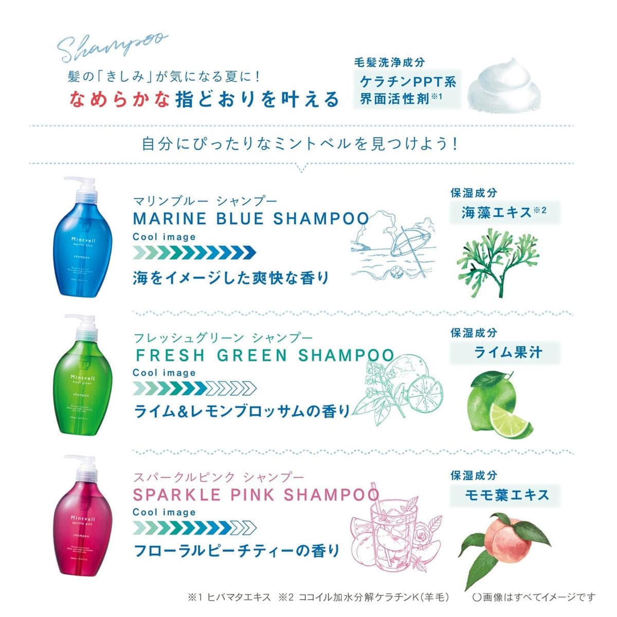 ミントベル マリンブルーシャンプー 250mL 4