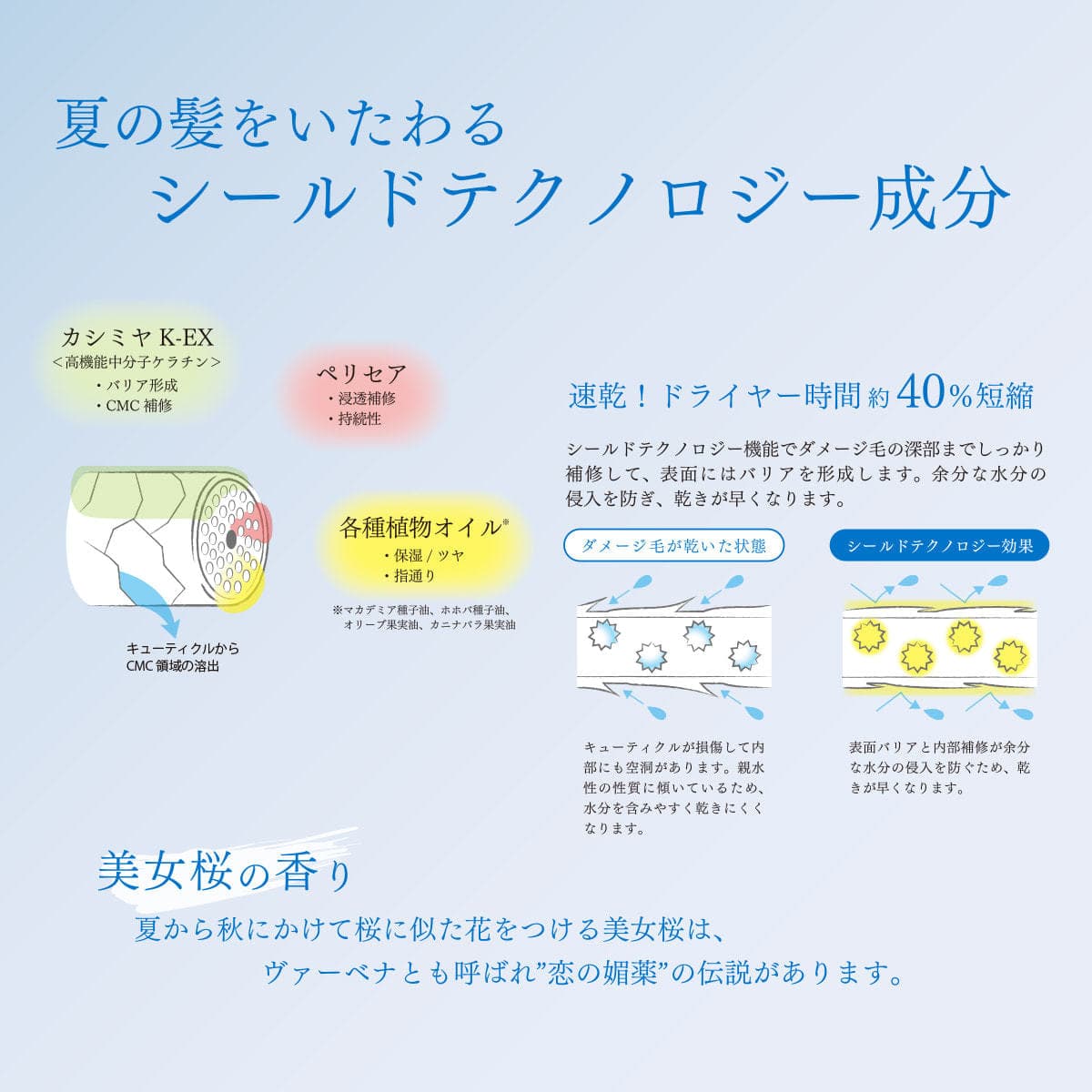 夏乃香 スキャルプマッサージジェル 深海 500g 3