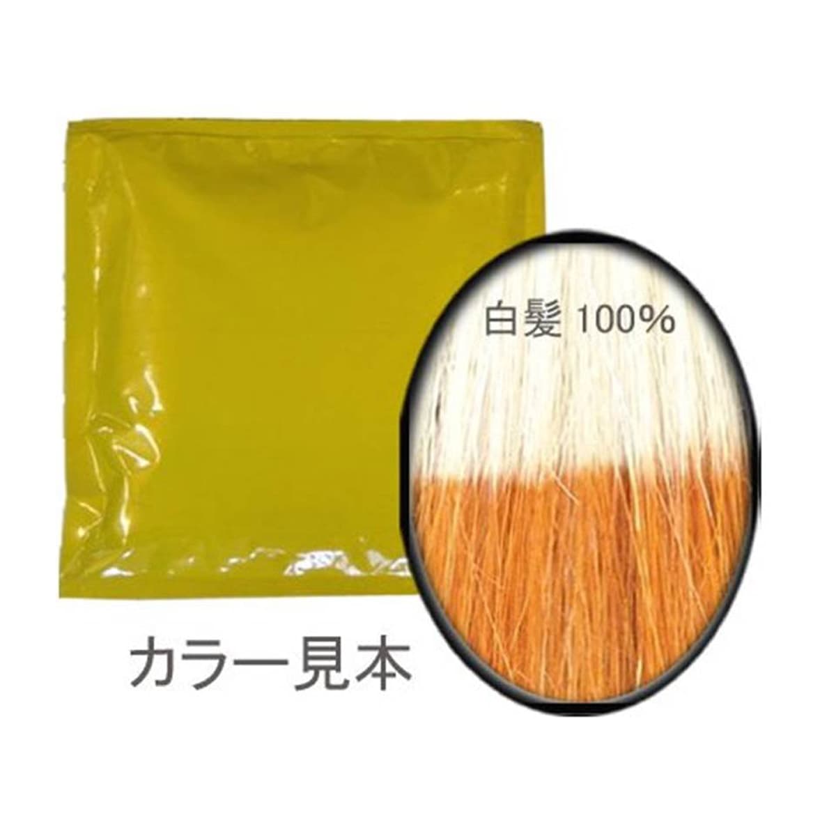 レインボウヘナ ブロンズイエロー 1kg（100g×10袋） 1