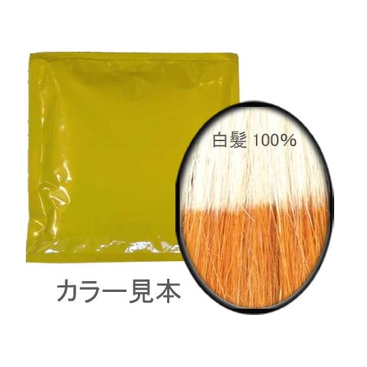 レインボウヘナ ブロンズイエロー 1kg（100g×10袋） 1