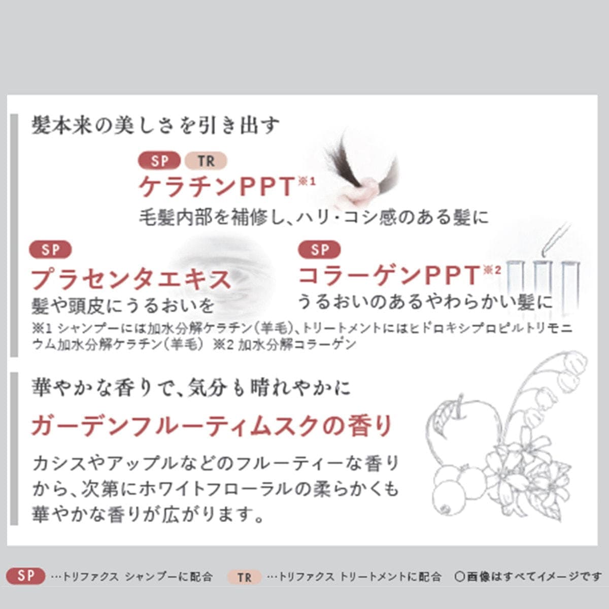 トリファクス シャンプー 1000ml レフィル 5