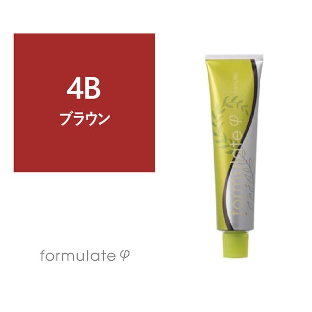 フォーミュレイト ファイ 4B 120g【医薬部外品】 1