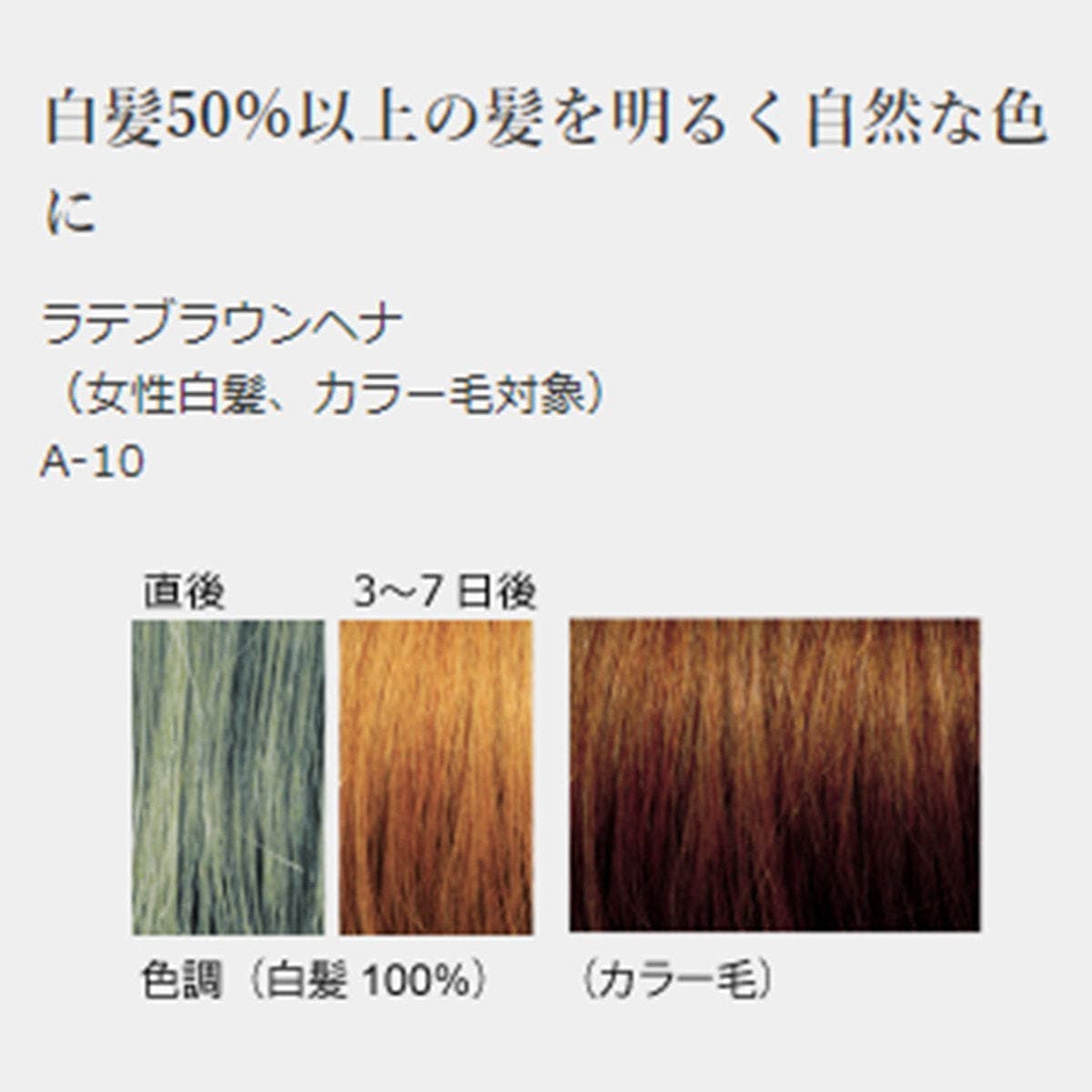ジャパンヘナ ラテブラウン100g 2