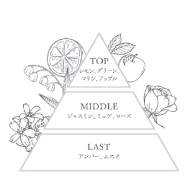 ファルジュア シャンプー コンセントレート  500mL 4