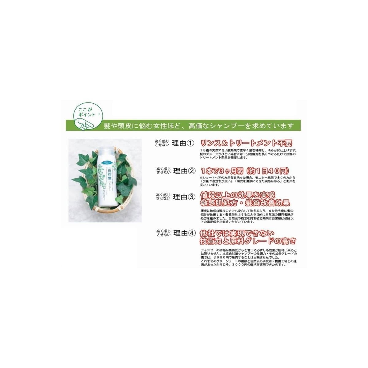 グリーンノート 自然葉シャンプー(無香料)300ml×3本 3