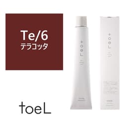 トエルカラー Te/6(テラコッタ6)100g《ファッションカラー》【医薬部外品】 1