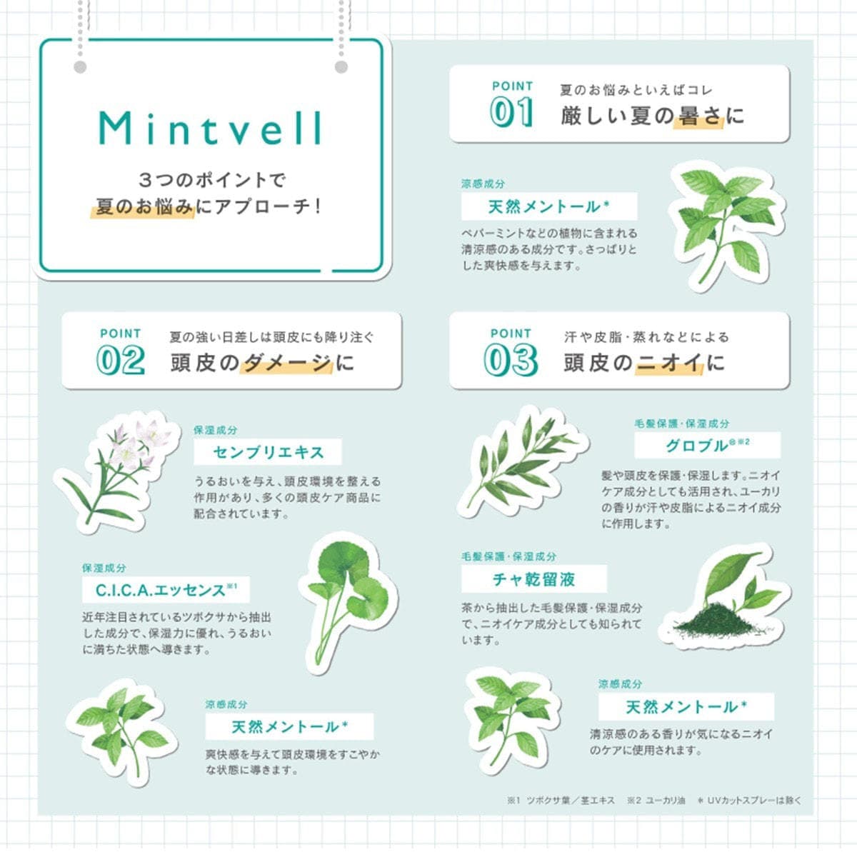 ミントベル サニーズシャンプー50mL 3