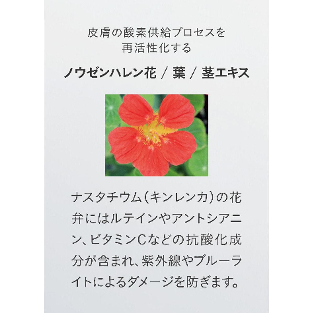 ナノアミノ リニューエッセンス 100ml 7
