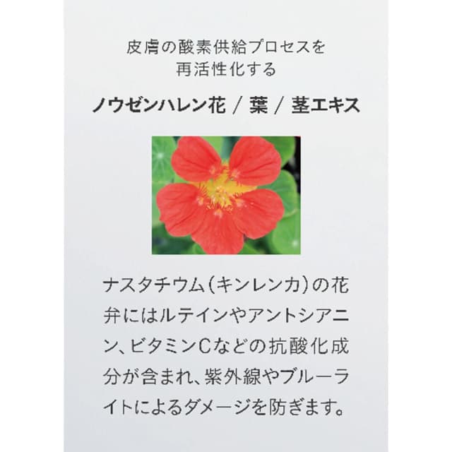 ナノアミノ リニューエッセンス 100ml 7