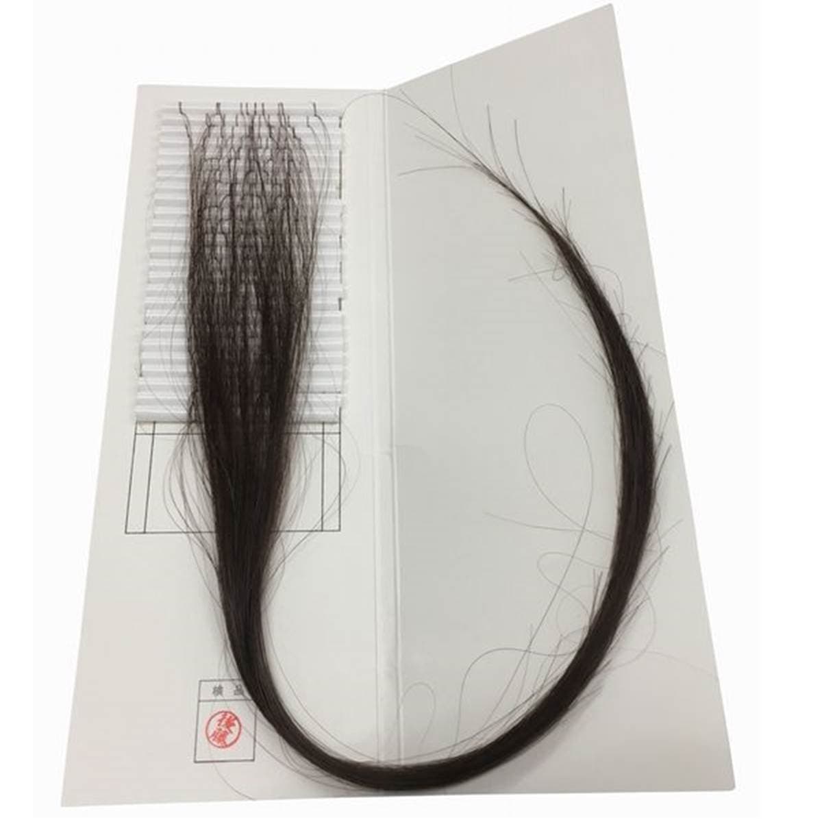 エクステ増毛WING-UPループ《ナチュラルブラック》30cm 1000本（4本ループ×250束） 4