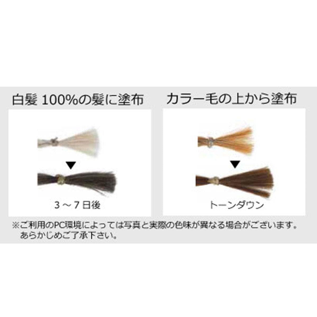 ジャパンヘナ ブロンズグレー 500g 2