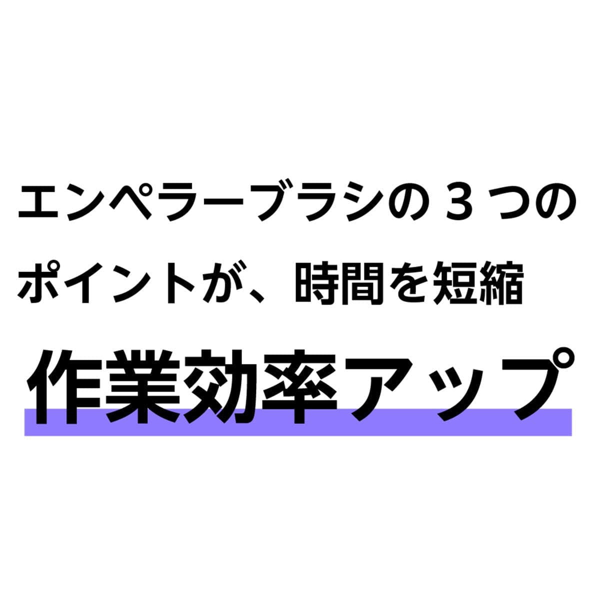 エンペラーブラシ (ブラック) 5